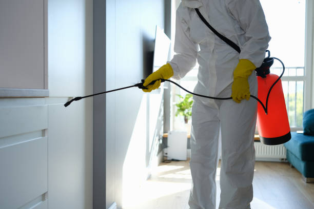 Mold Odor Removal Services in Roundup, MT